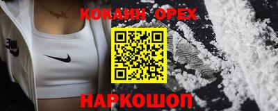 альфа пвп Новодвинск