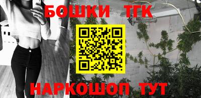альфа пвп Новодвинск