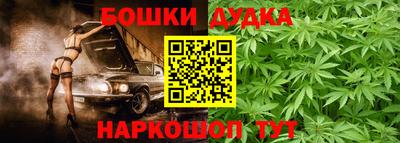 гашик Новозыбков