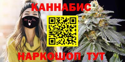 альфа пвп Новодвинск