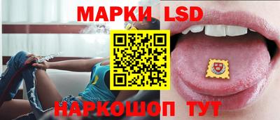 альфа пвп Новодвинск