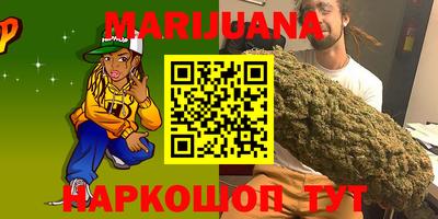 альфа пвп Новодвинск