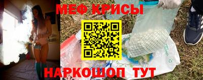гашик Новозыбков