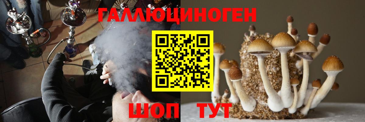 купить наркоту  Вход с VPN  Озёры  Псилоцибиновые грибы Cubensis 